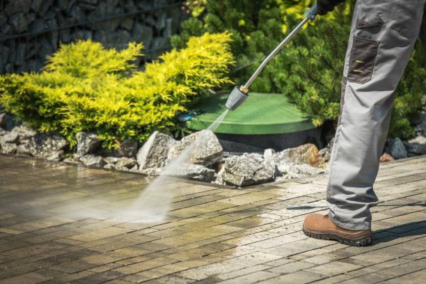 Best Winterizing Services  in Morrisonville, NY